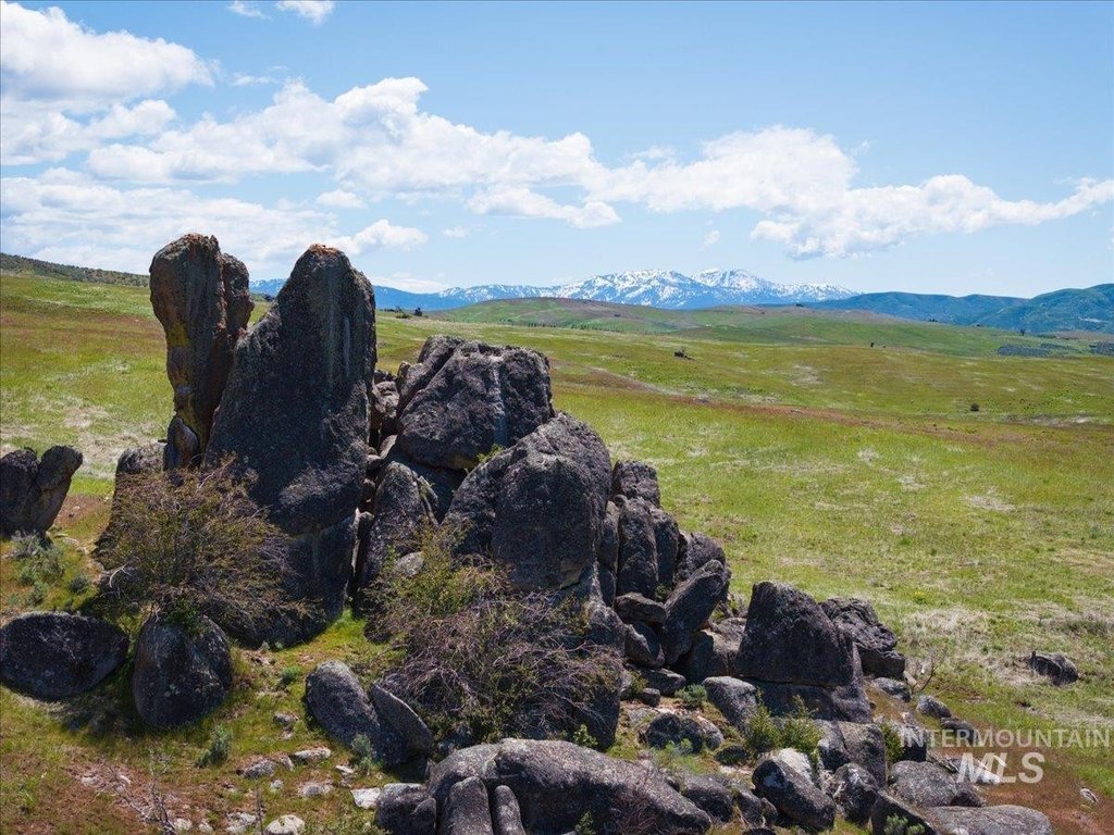 Picture 31