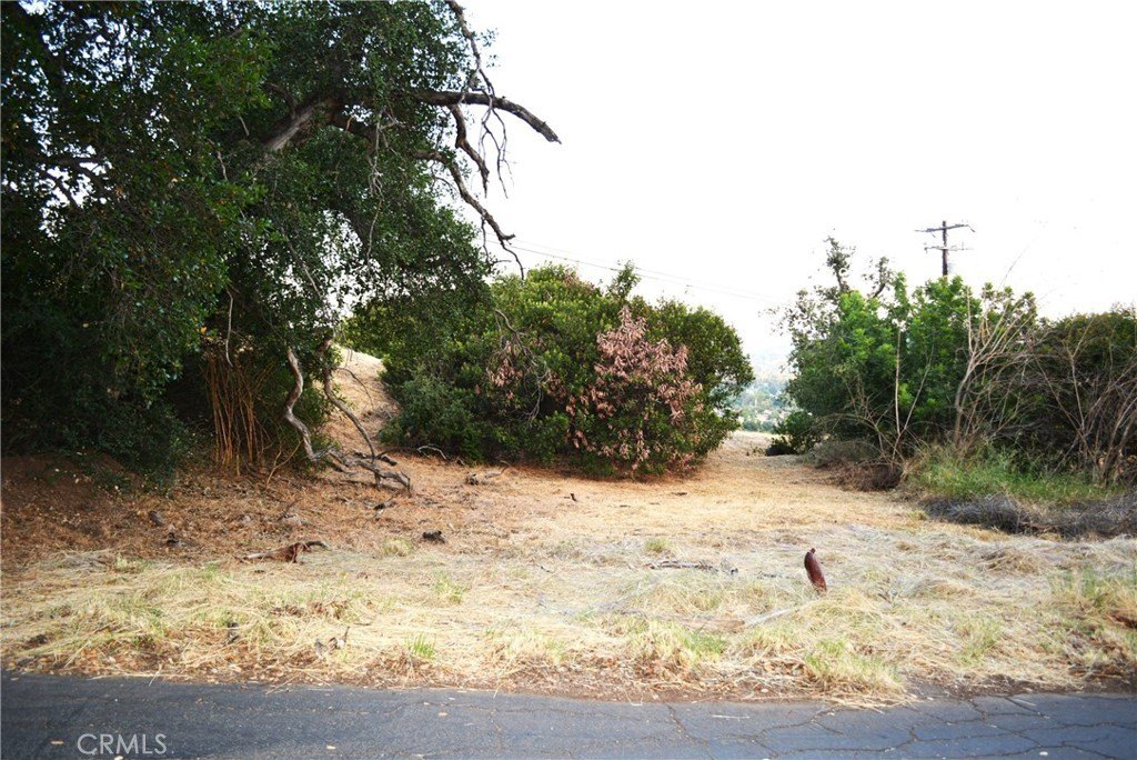 Picture 14