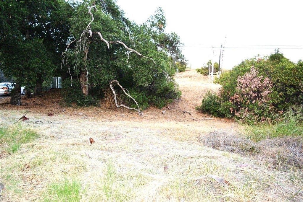 Picture 9