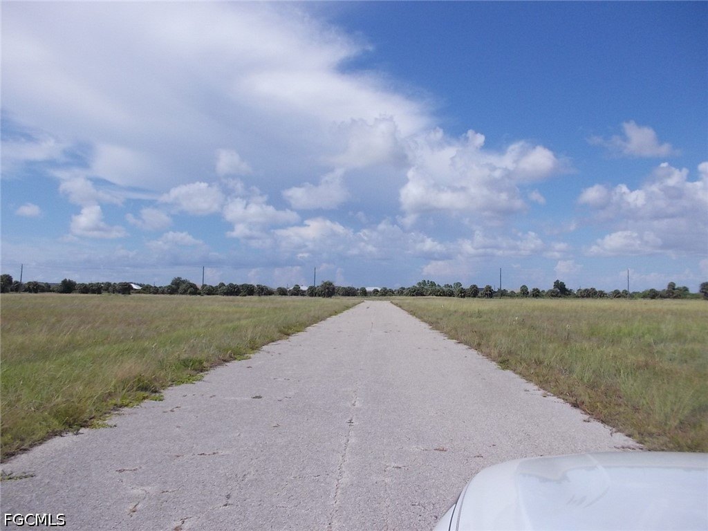 Picture 6