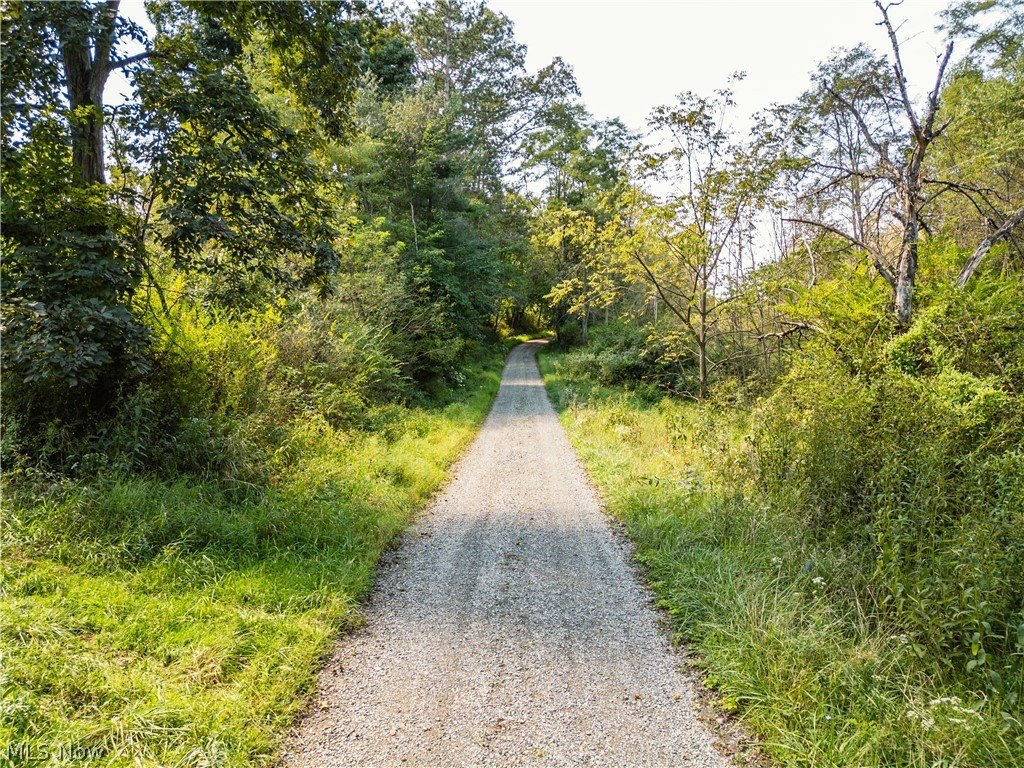 Picture 41