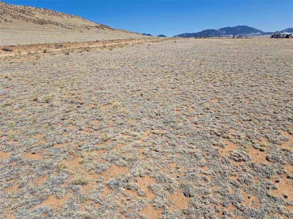 Picture 19