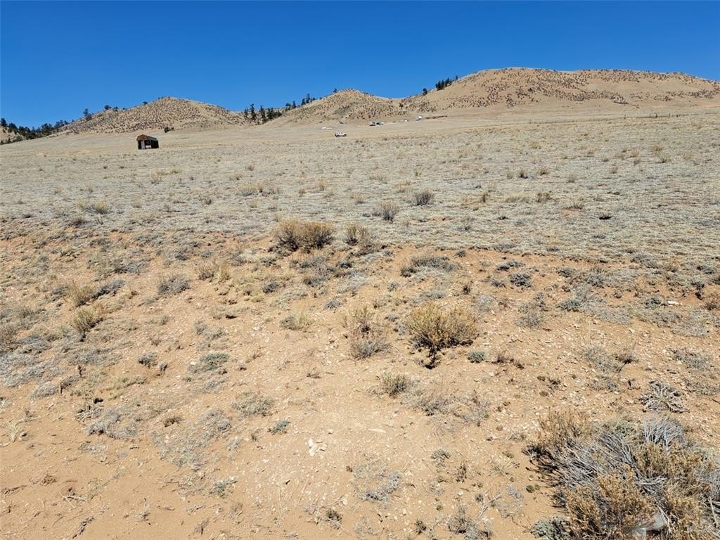 Picture 26