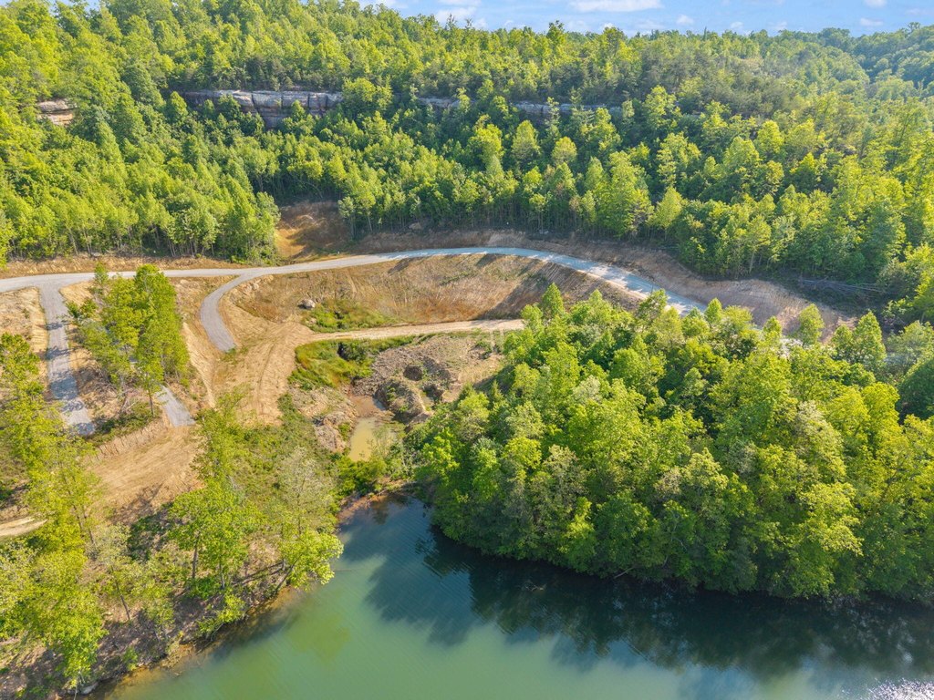 Picture 36