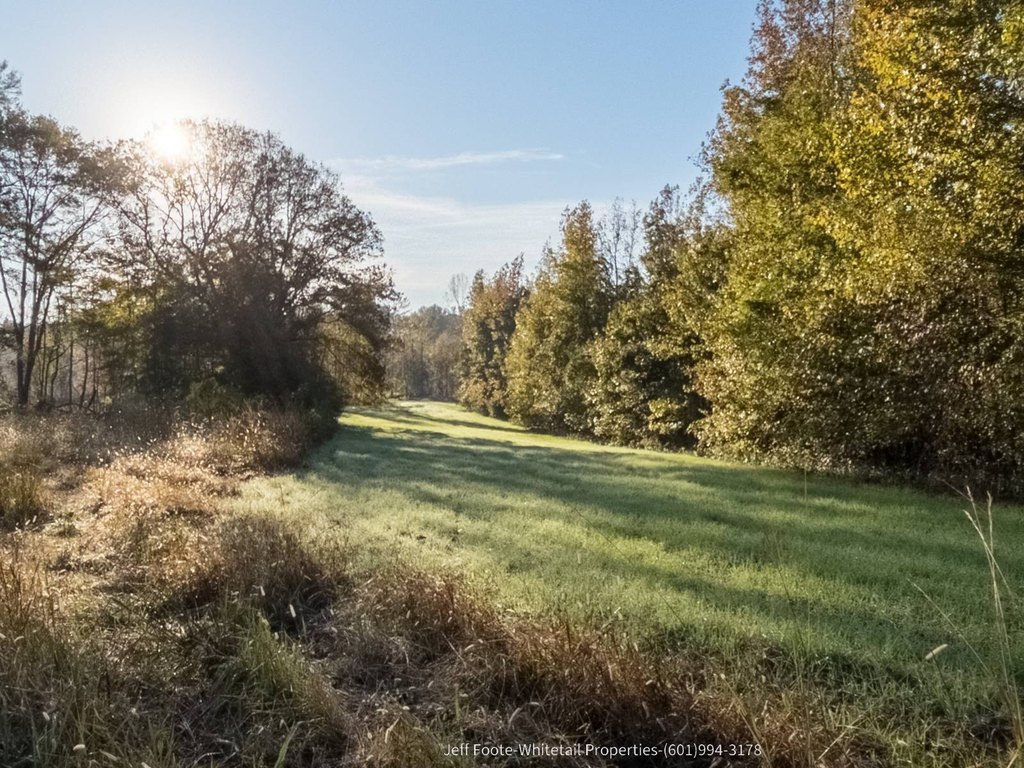 Picture 19