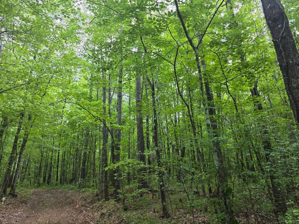 Picture 21