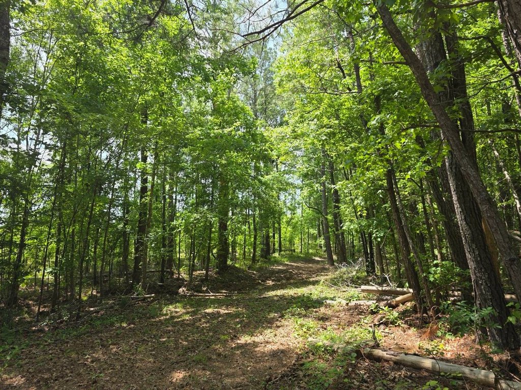 Picture 24