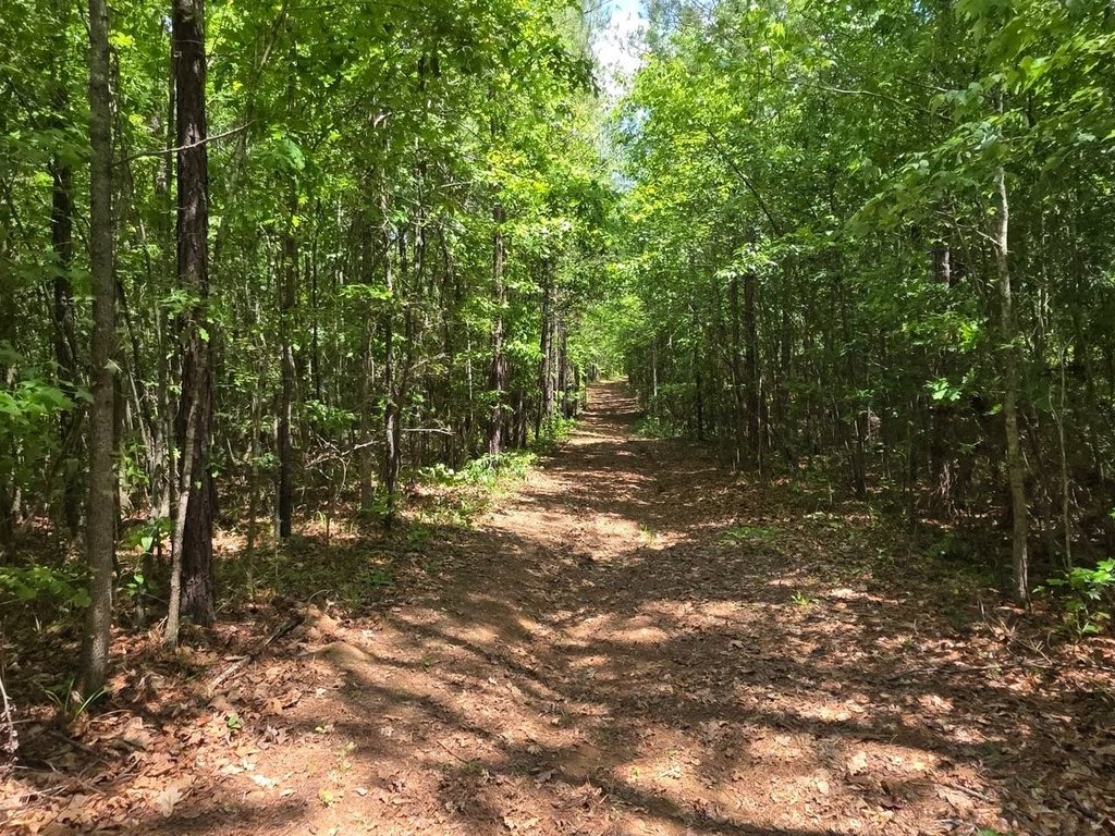 Picture 30