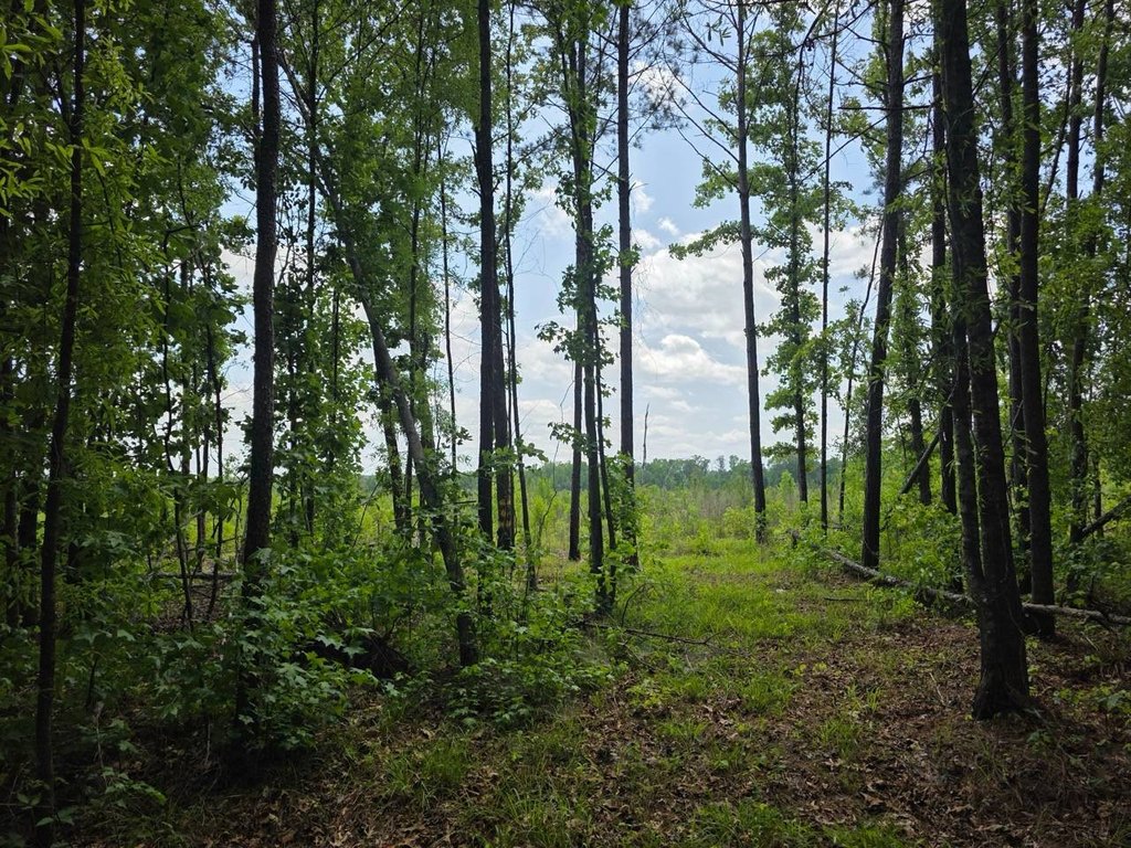 Picture 25