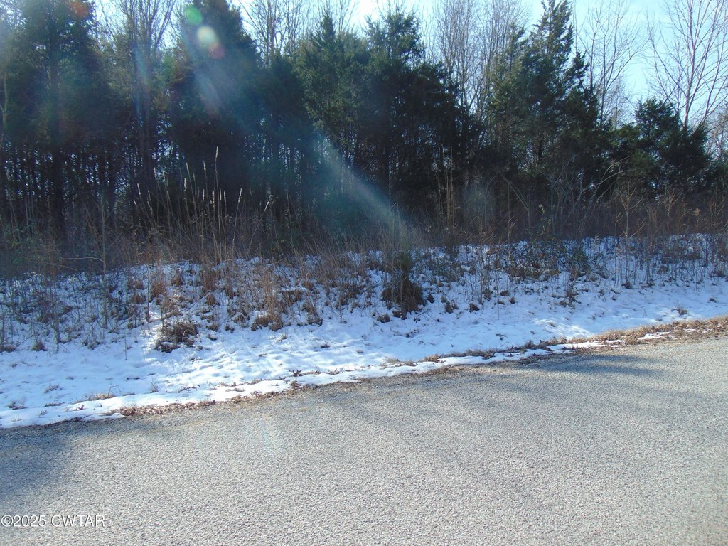 Picture 6