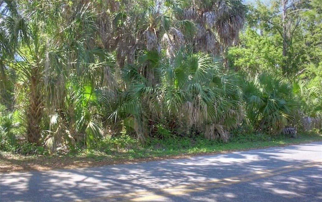 Picture 6
