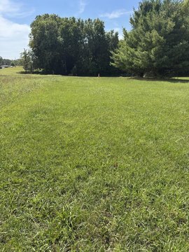 Land, Bronson, MI