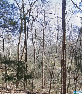 LAND - ANNISTON, AL