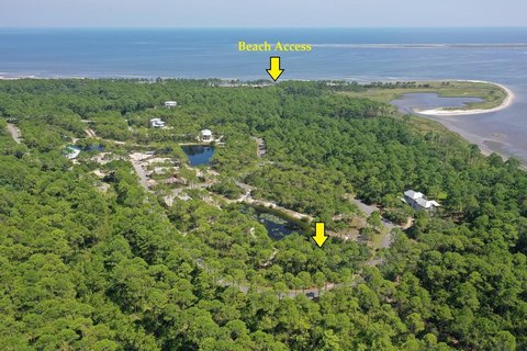 Land Near Gulf Coast Shoreline