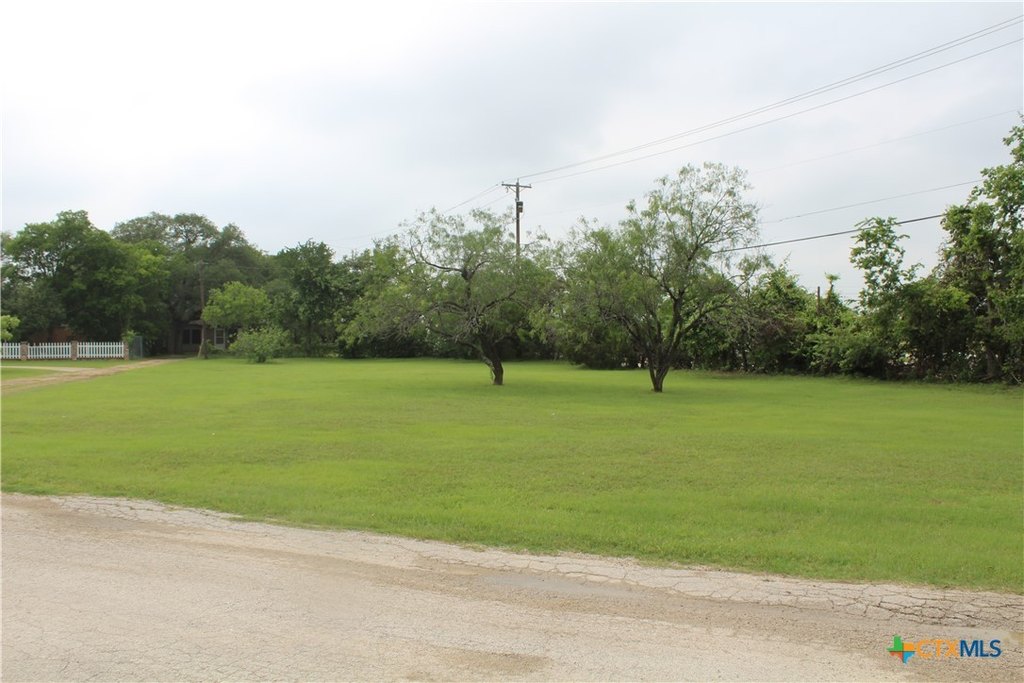 Picture 15