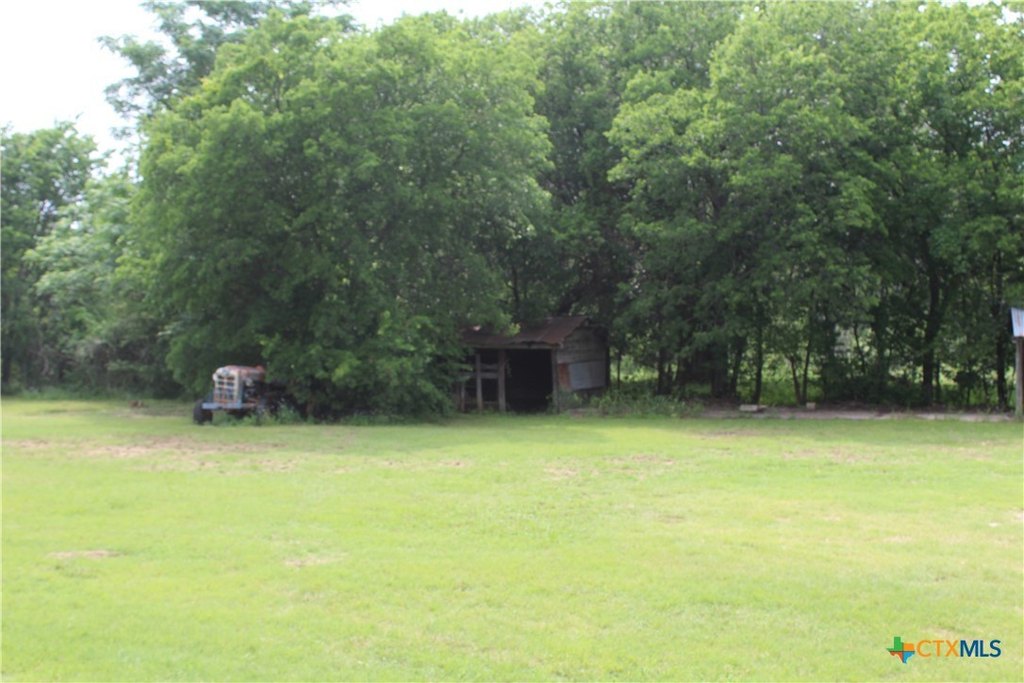 Picture 8