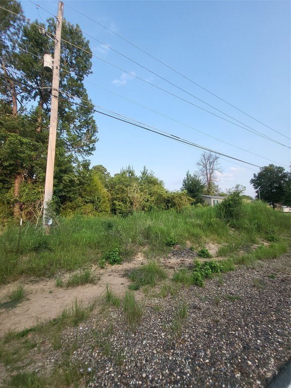 Picture 4