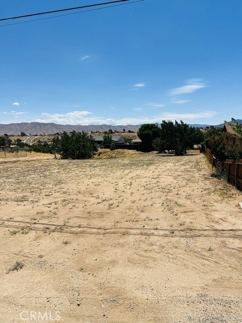 Picture 5