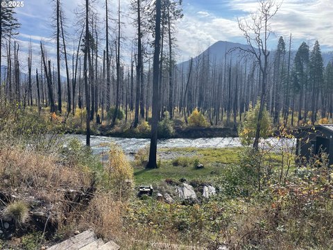 McKenzie River Land For Sale