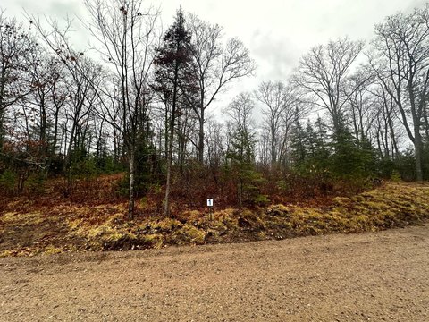 Land O'Lakes Acreage For Sale