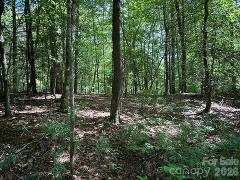 LAND - Brevard, NC