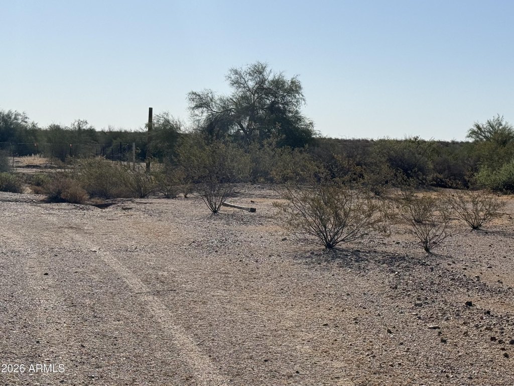 Picture 9