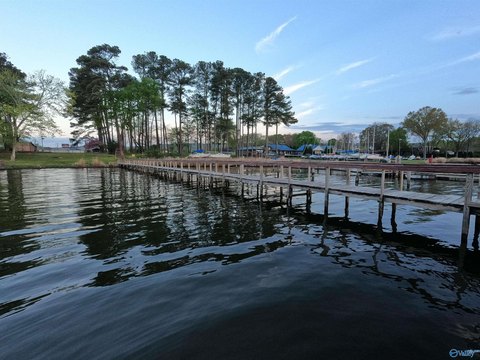 Lake Guntersville Waterfront Parcel