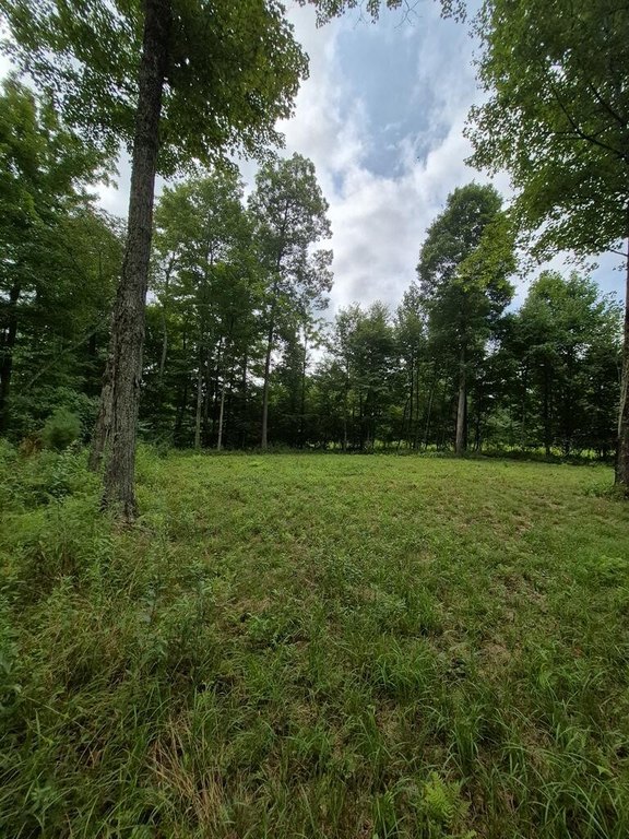 Picture 13