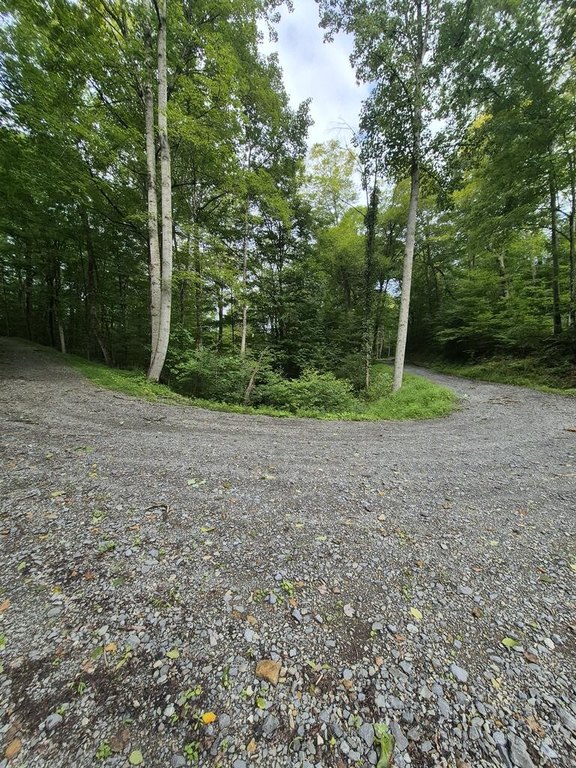Picture 34
