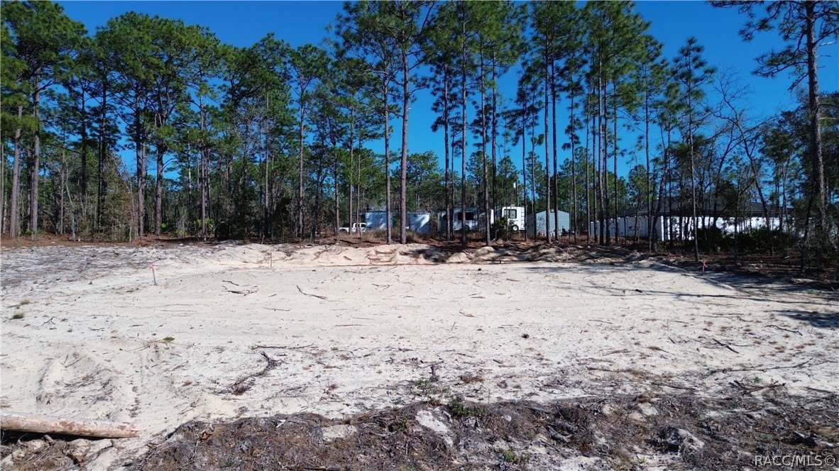 Citrus Springs Cleared Land Parcel