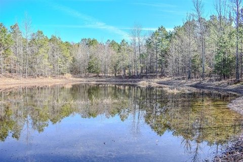 32.5 Acres Near Hugo Lake