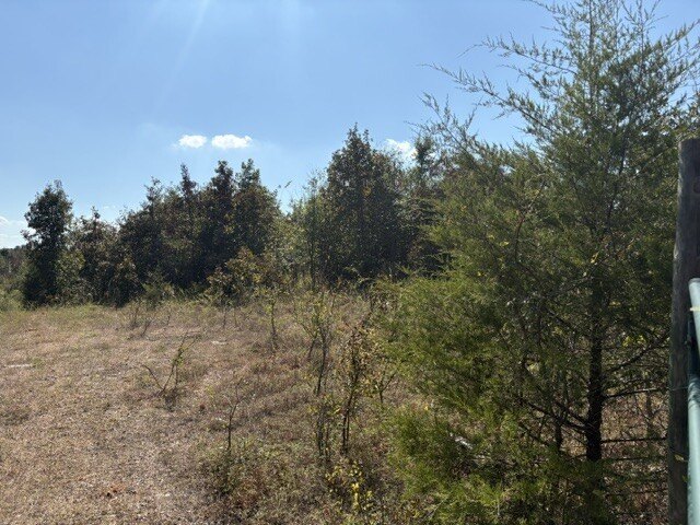 Picture 26