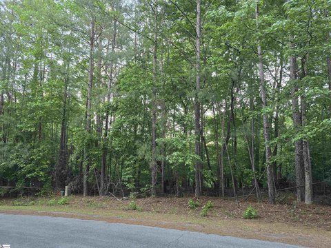 Wooded Lot in Savannah Lakes