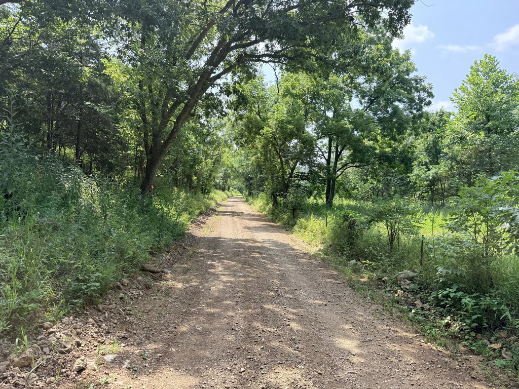 Picture 20