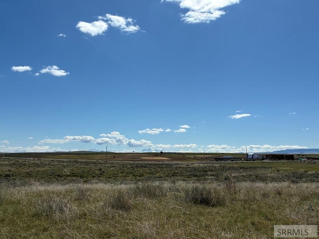 Picture 12
