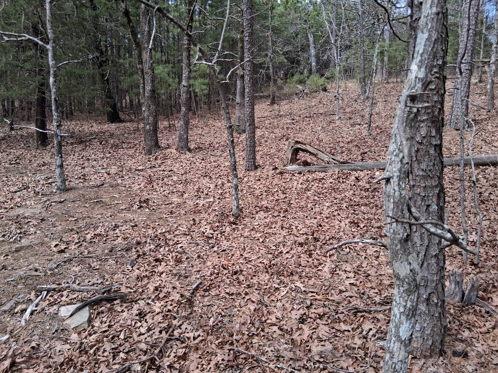Picture 15
