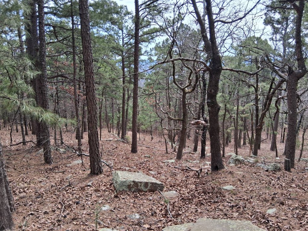 Picture 9