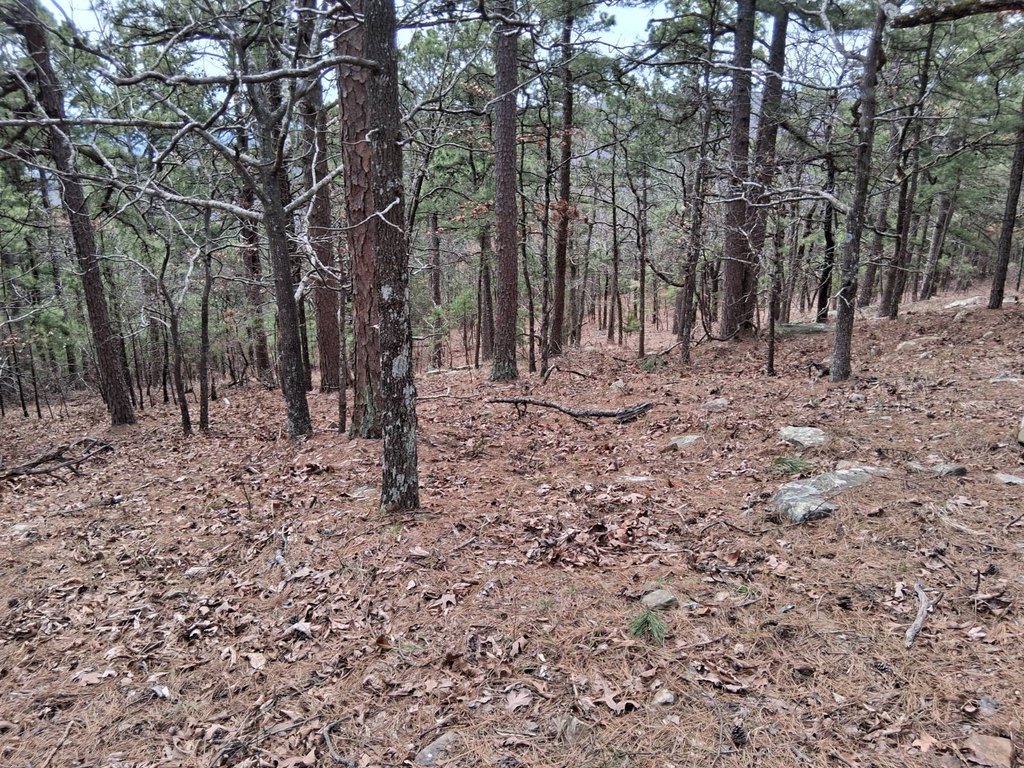 Picture 6