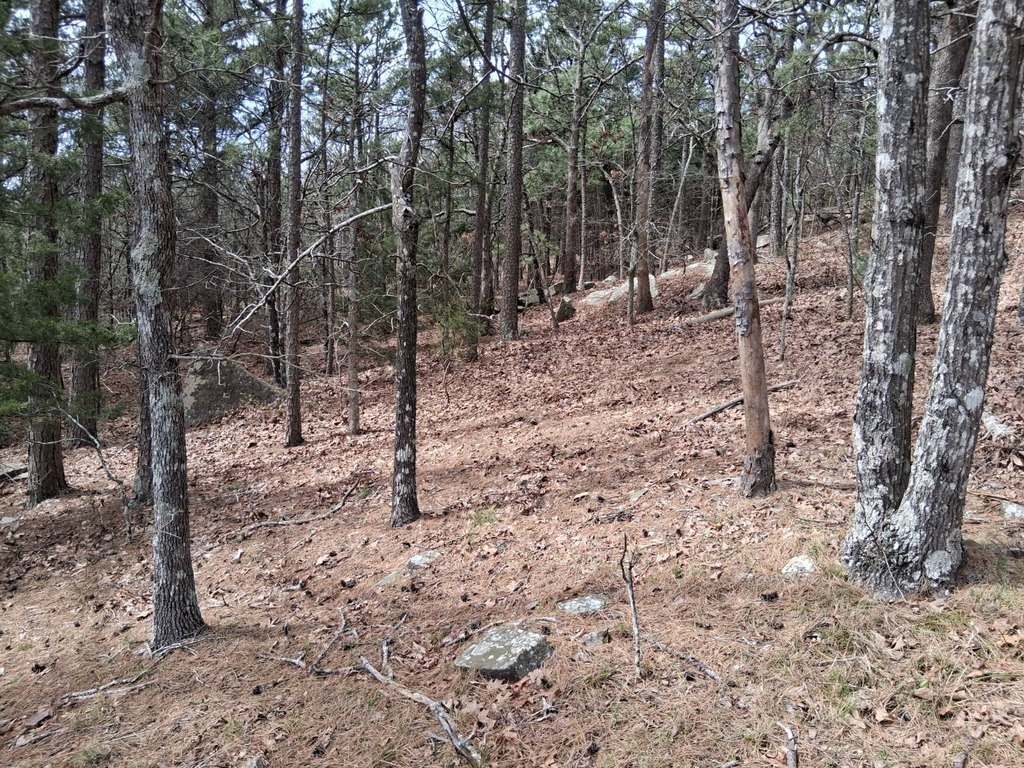 Picture 16