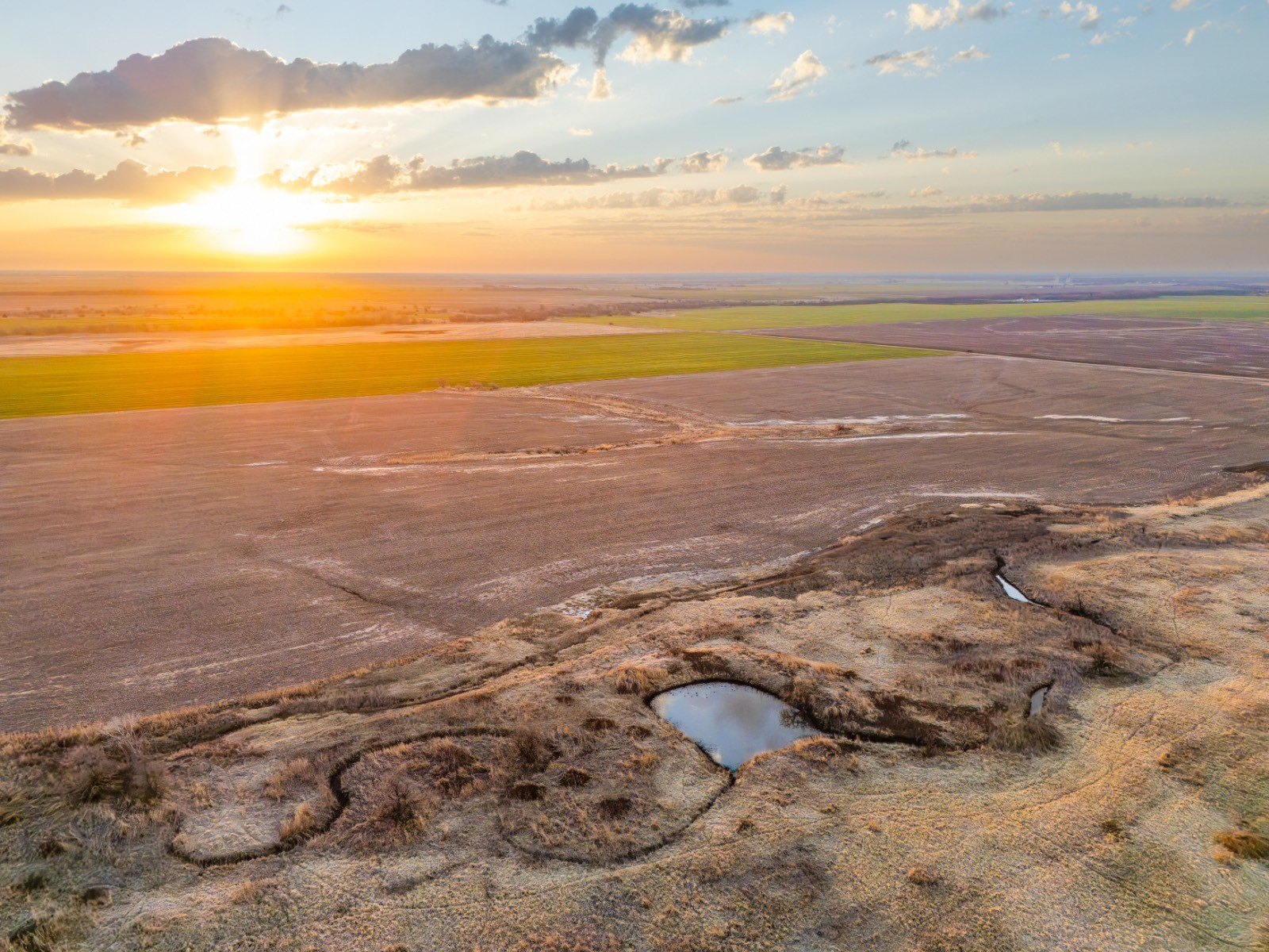Productive Farmland with Wildlife Habitat