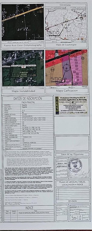 Picture 16