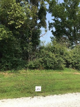 Wooded Recreation Land Lot