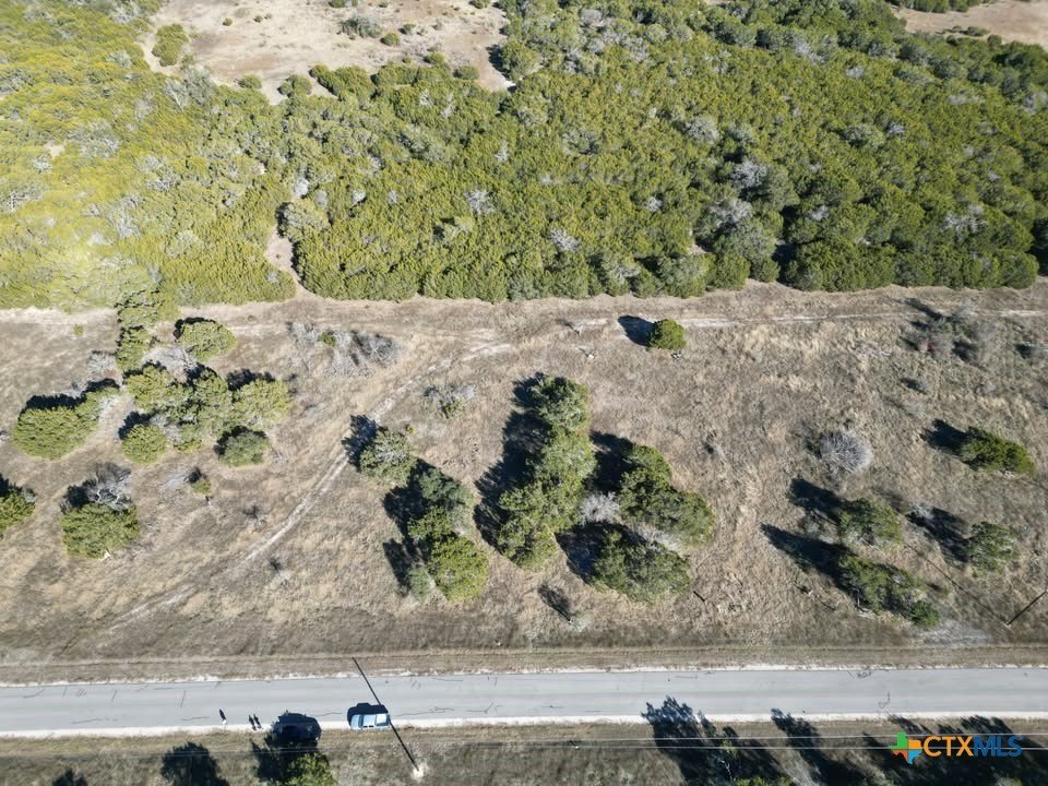 Bertram Homesite with Towering Trees