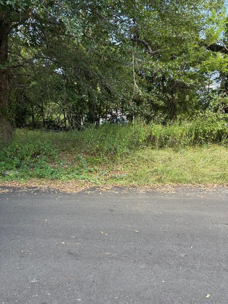 Corner Lot in Palestine, TX