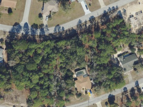 Land, CITRUS SPRINGS, FL