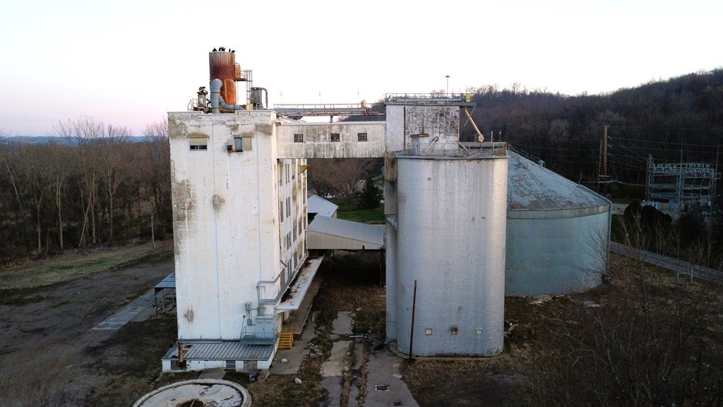 Picture 5