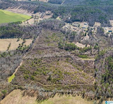 Unrestricted Recreational Farm Land