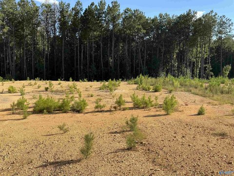 Land, Riverside, AL