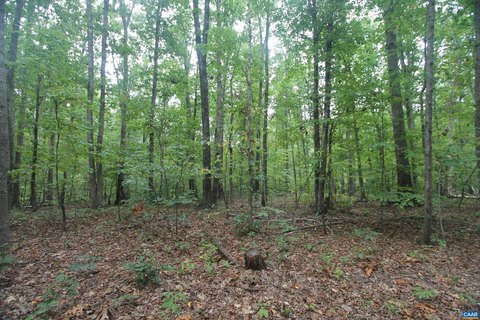 LAND, SCOTTSVILLE, VA