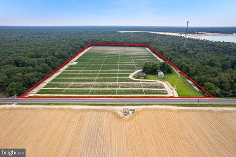 19.5 Acre Farm Lot